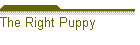 The Right Puppy
